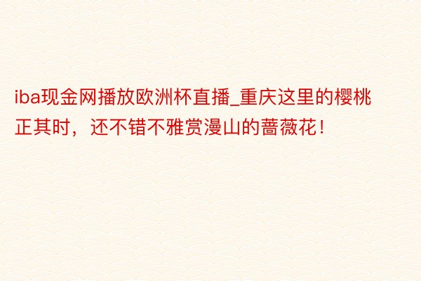 iba现金网播放欧洲杯直播_重庆这里的樱桃正其时，还不错不雅赏漫山的蔷薇花！