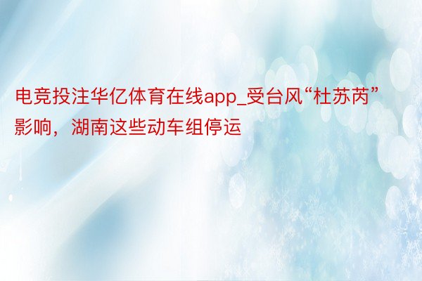 电竞投注华亿体育在线app_受台风“杜苏芮”影响，湖南这些动车组停运