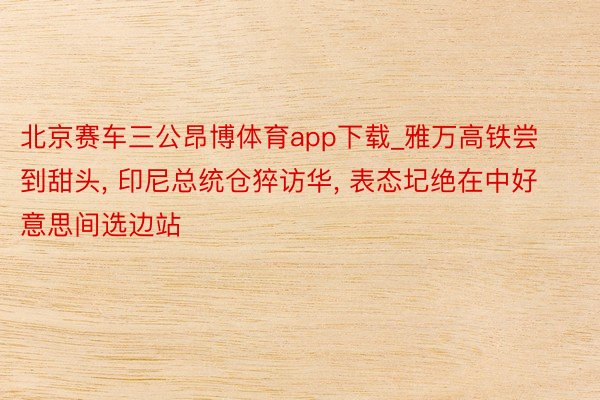 北京赛车三公昂博体育app下载_雅万高铁尝到甜头, 印尼总统仓猝访华, 表态圮绝在中好意思间选边站