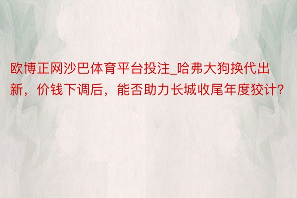 欧博正网沙巴体育平台投注_哈弗大狗换代出新，价钱下调后，能否助力长城收尾年度狡计？