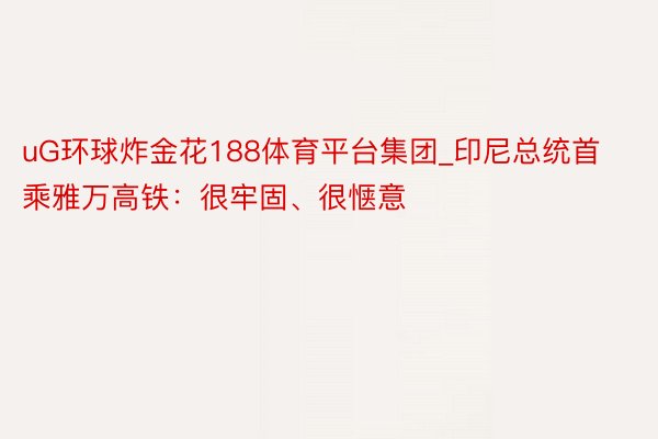 uG环球炸金花188体育平台集团_印尼总统首乘雅万高铁：很牢固、很惬意