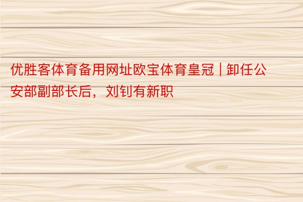 优胜客体育备用网址欧宝体育皇冠 | 卸任公安部副部长后，刘钊有新职