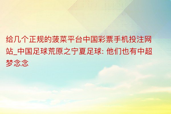 给几个正规的菠菜平台中国彩票手机投注网站_中国足球荒原之宁夏足球: 他们也有中超梦念念