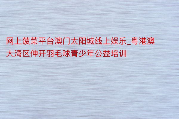 网上菠菜平台澳门太阳城线上娱乐_粤港澳大湾区伸开羽毛球青少年公益培训