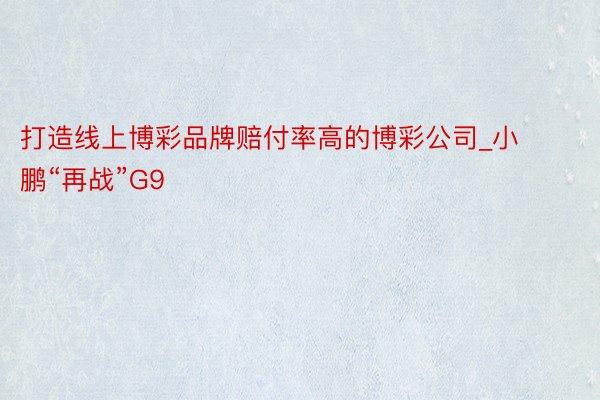 打造线上博彩品牌赔付率高的博彩公司_小鹏“再战”G9